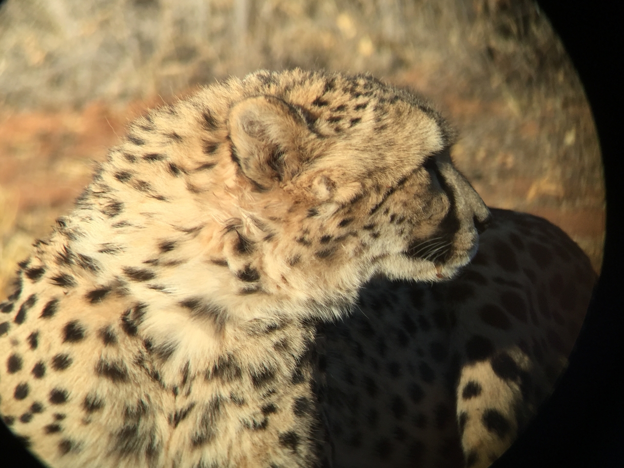 [9333] 2016_06_23_16_13_41_Africa_iPhone_6_IMG_7959_02882.jpg