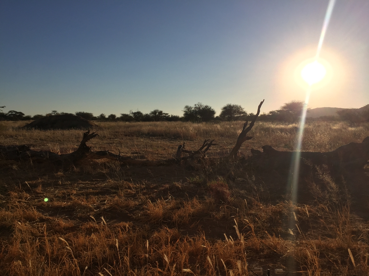 [9396] 2016_06_23_16_39_18_Africa_iPhone_6_IMG_7985_02907.jpg