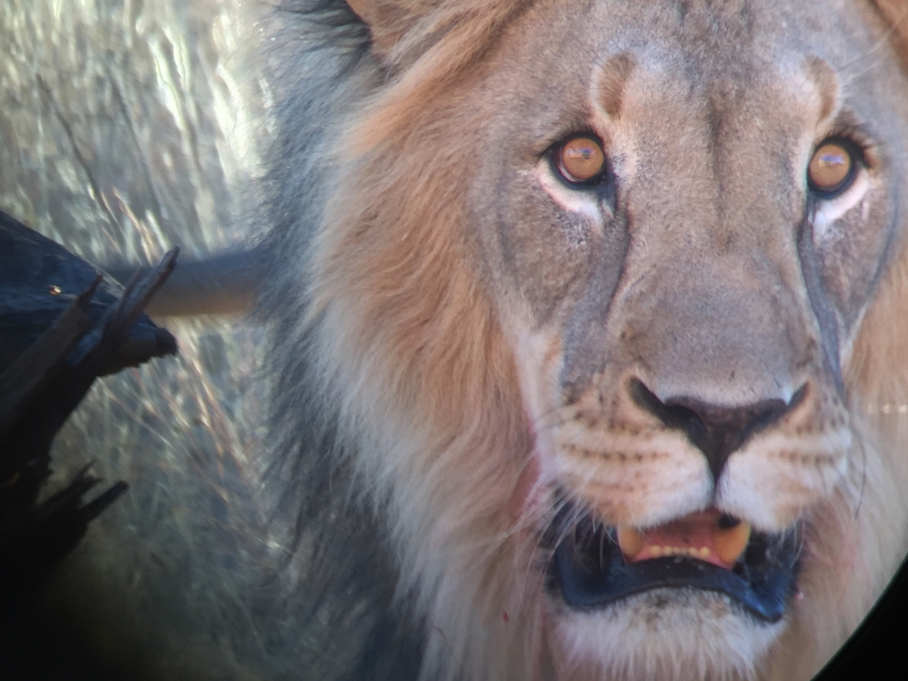 [9469] 2016_06_23_16_52_55_Africa_iPhone_6_IMG_8016_00016.jpg