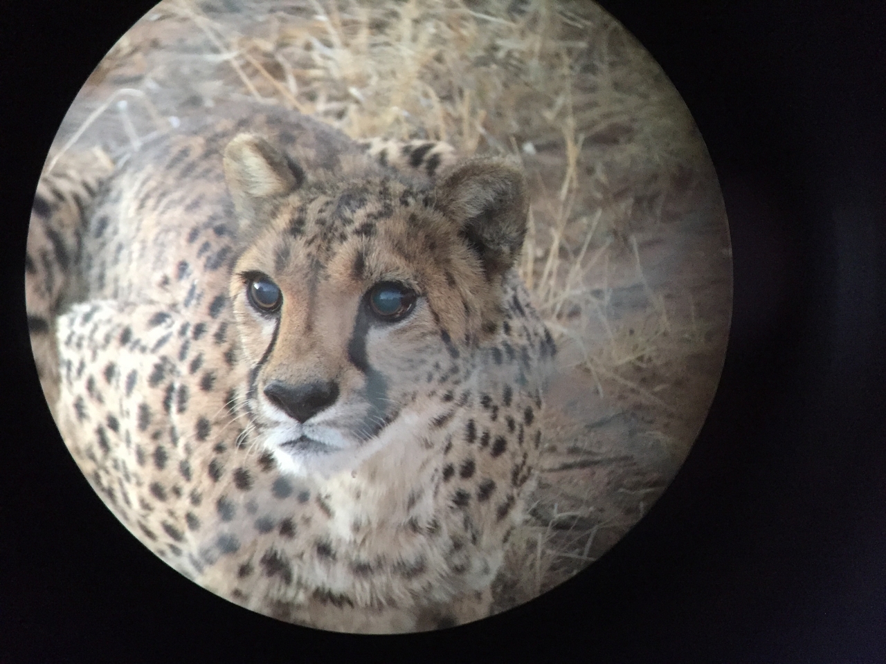 [9546] 2016_06_23_17_29_43_Africa_iPhone_6_IMG_8034_00031.jpg