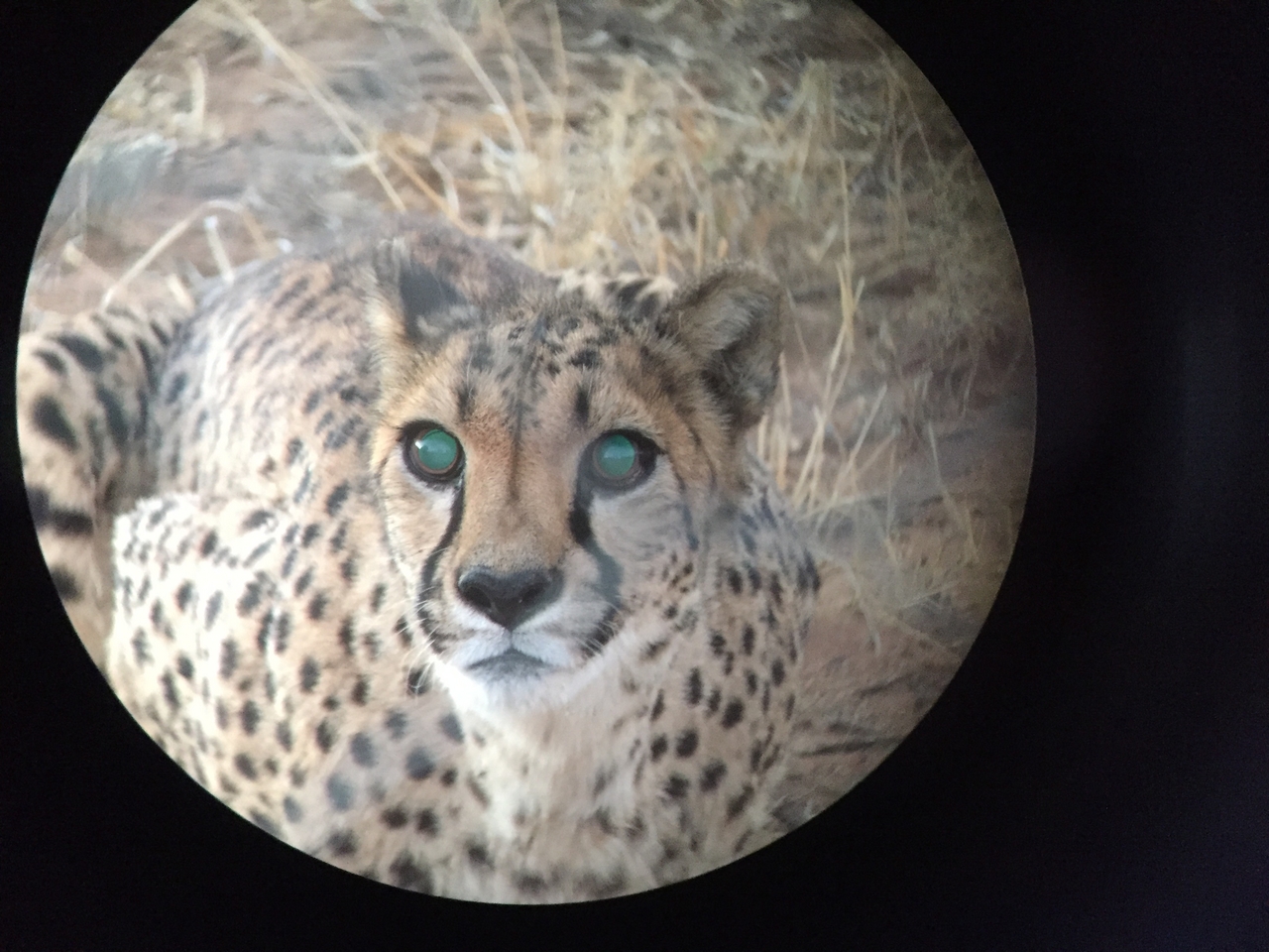 [9549] 2016_06_23_17_29_46_Africa_iPhone_6_IMG_8035_00032.jpg