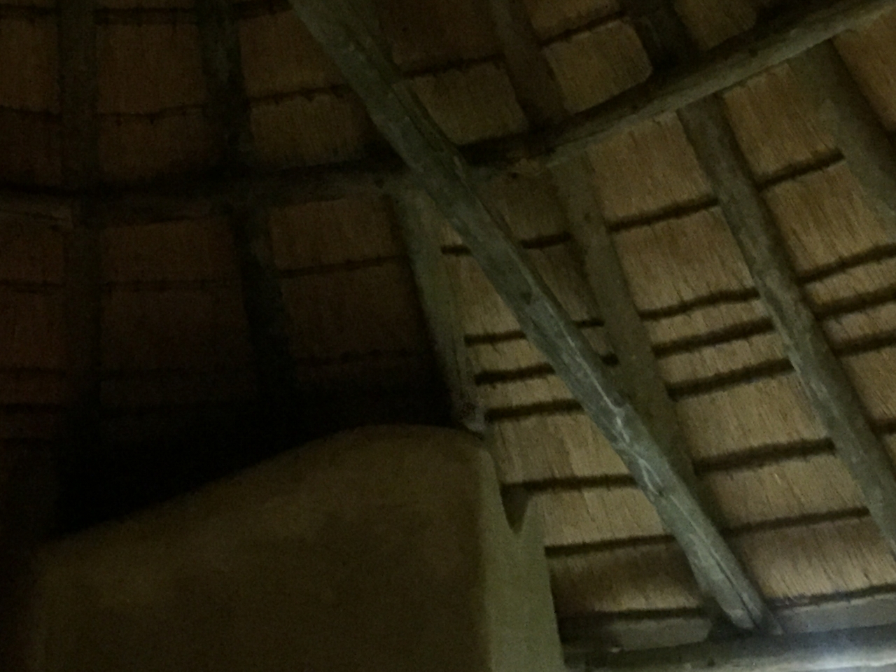 [13711] 2016_06_23_22_50_38_Africa_iPhone_6_IMG_8070_02989.jpg