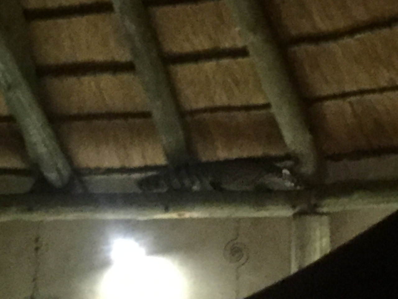 [13716] 2016_06_23_22_52_19_Africa_iPhone_6_IMG_8072_00650.jpg