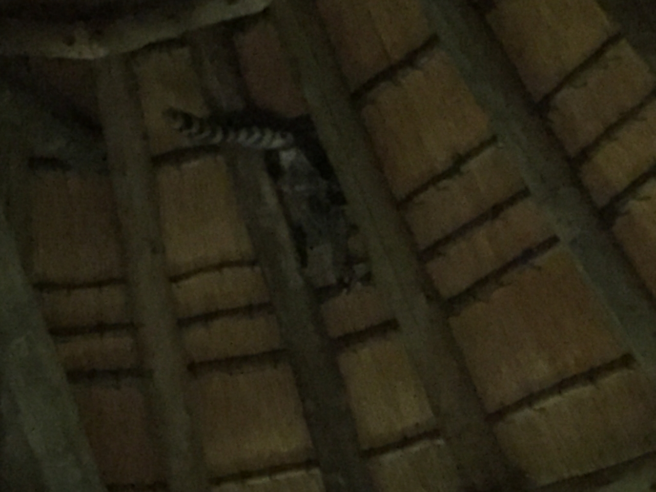 [13726] 2016_06_23_22_53_57_Africa_iPhone_6_IMG_8075_02994.jpg