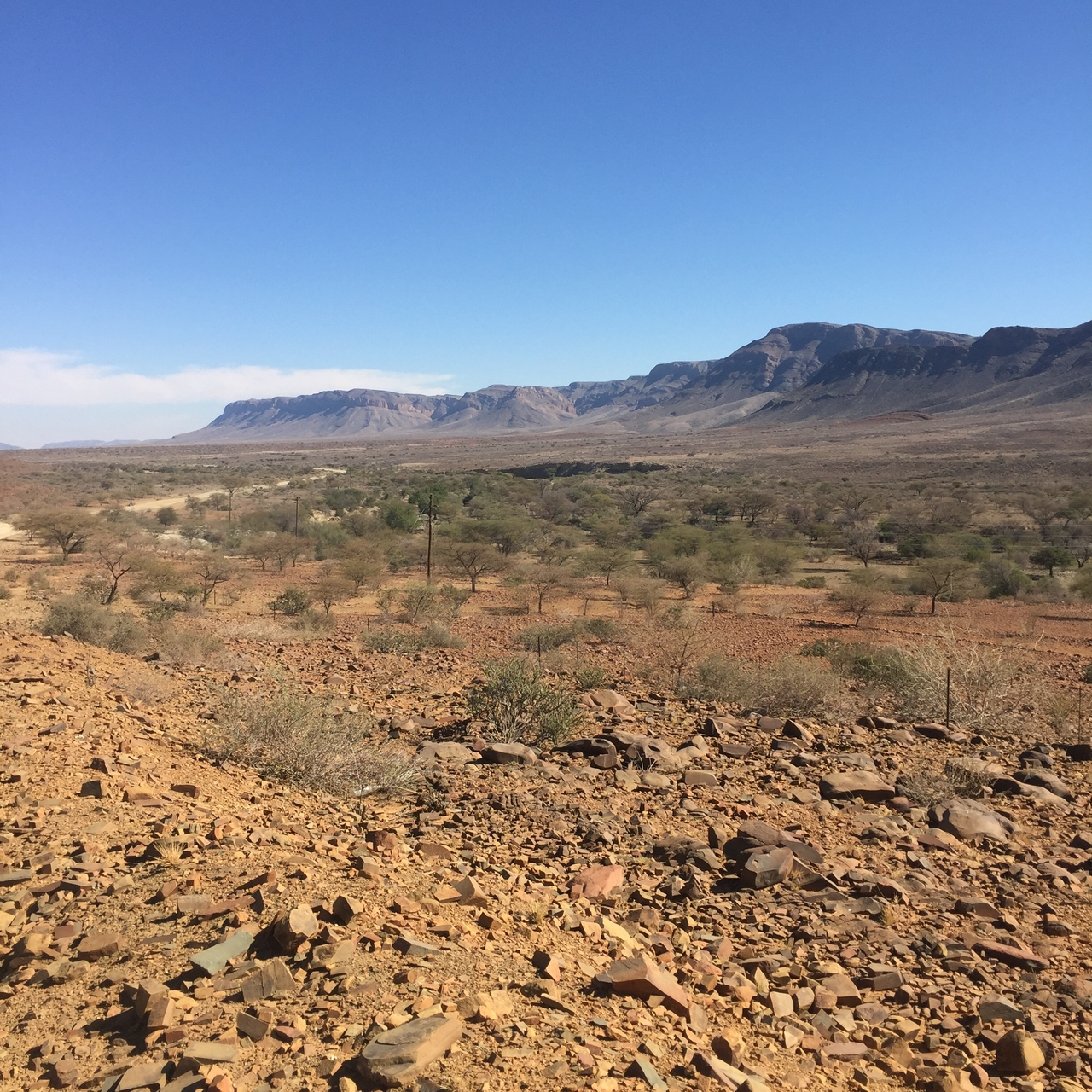 [14064] 2016_06_24_13_04_05_Africa_iPhone_6_IMG_8078_00074.jpg