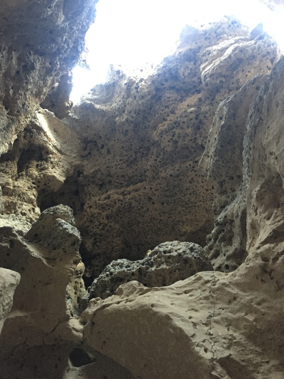 [14262] 2016_06_24_17_01_21_Africa_iPhone_6_IMG_8126_03040.jpg