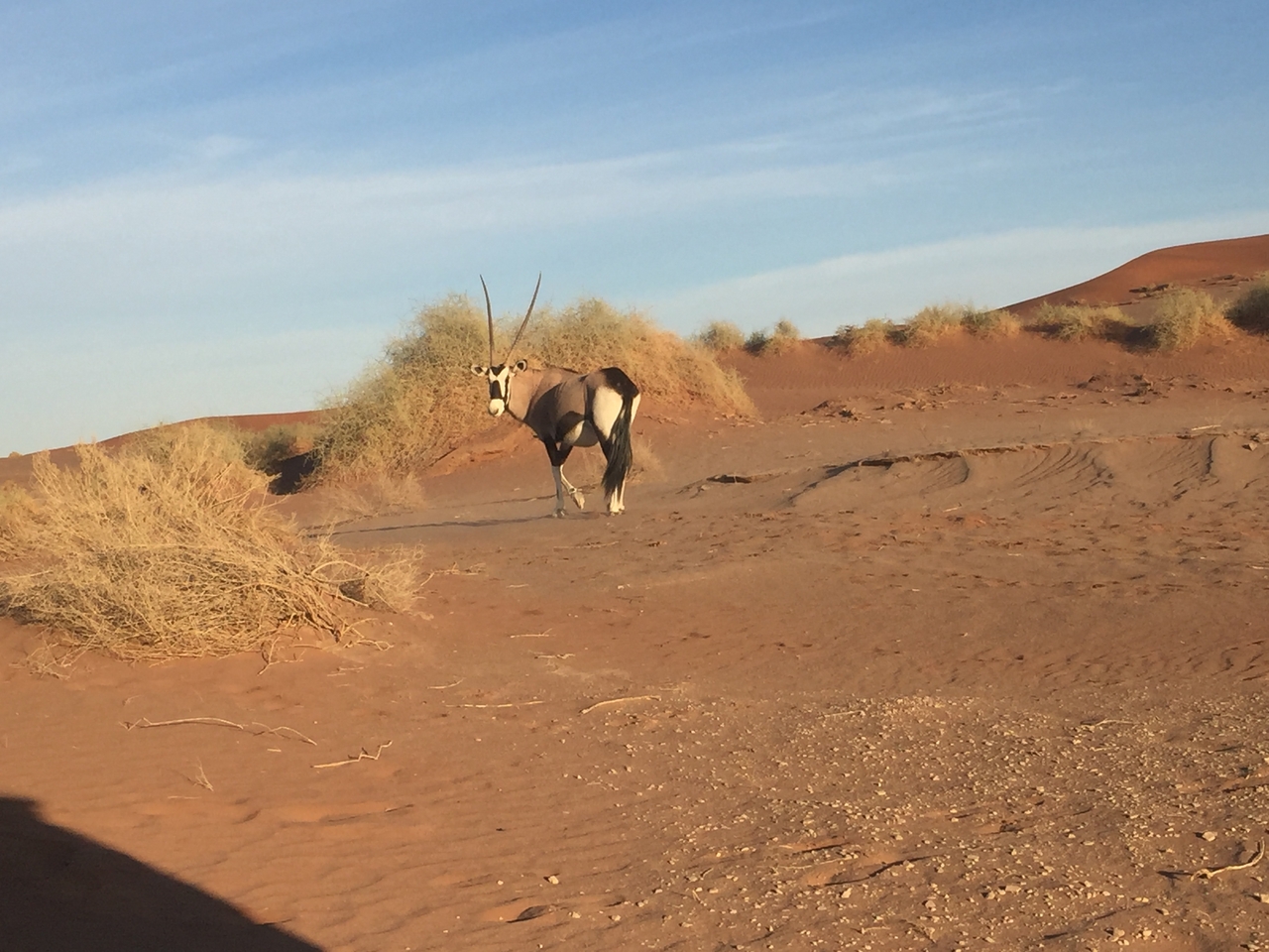 [15521] 2016_06_25_07_29_13_Africa_iPhone_6_IMG_8169_03081.jpg