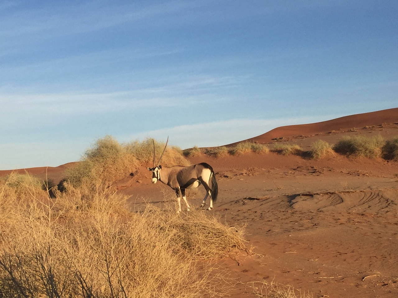 [15527] 2016_06_25_07_29_15_Africa_iPhone_6_IMG_8171_03083.jpg