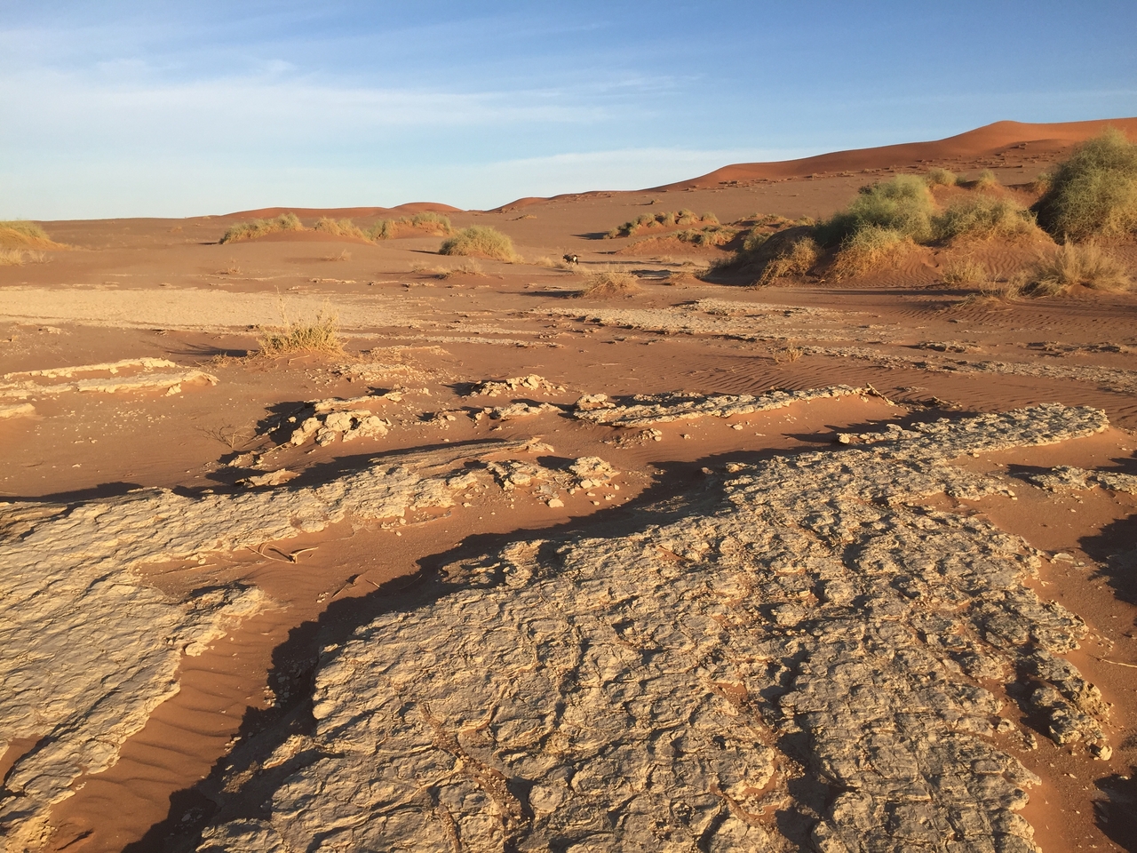 [15532] 2016_06_25_07_31_24_Africa_iPhone_6_IMG_8173_00744.jpg