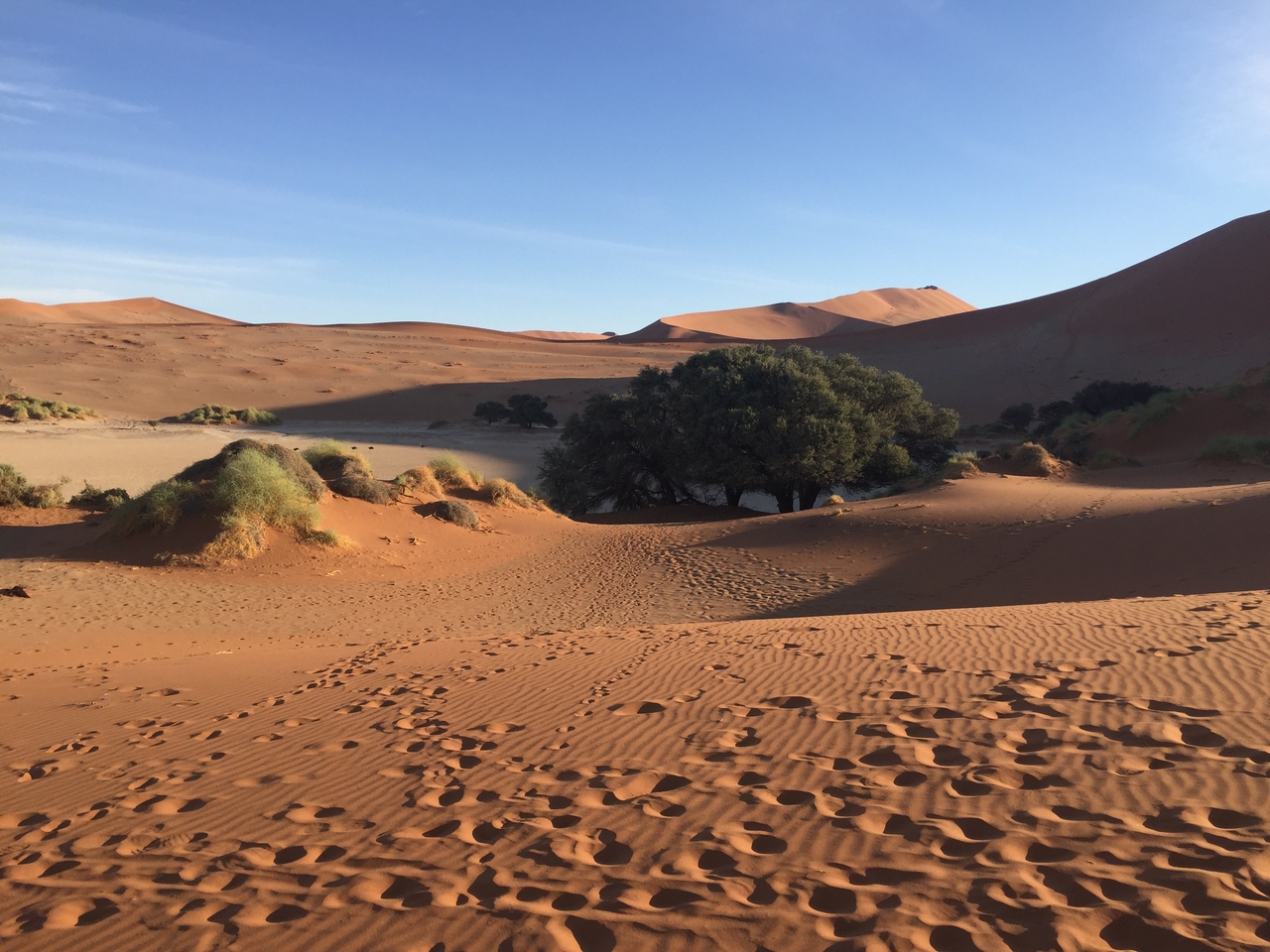 [15585] 2016_06_25_07_50_02_Africa_iPhone_6_IMG_8179_00168.jpg