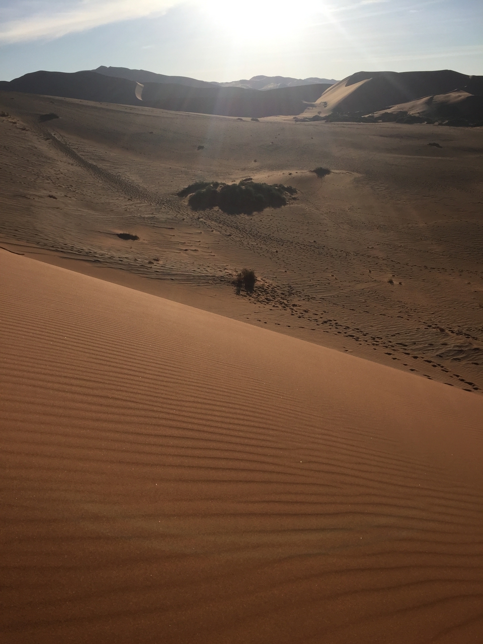 [15600] 2016_06_25_07_53_46_Africa_iPhone_6_IMG_8184_00173.jpg