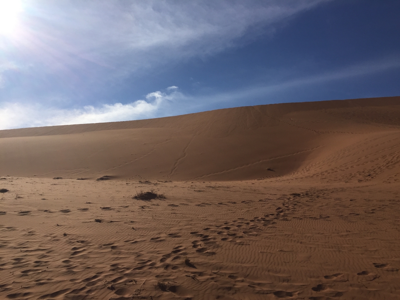 [15976] 2016_06_25_09_41_16_Africa_iPhone_6_IMG_8252_03149.jpg