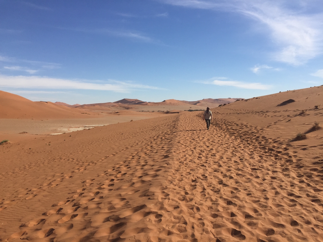 [15981] 2016_06_25_09_41_33_Africa_iPhone_6_IMG_8254_00810.jpg