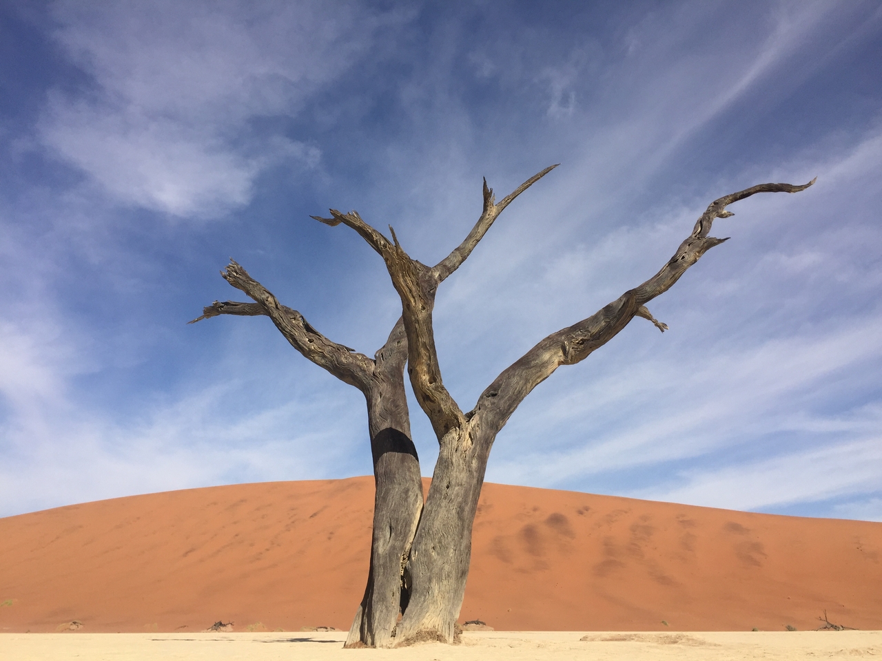 [16183] 2016_06_25_10_04_43_Africa_iPhone_6_IMG_8288_03185.jpg