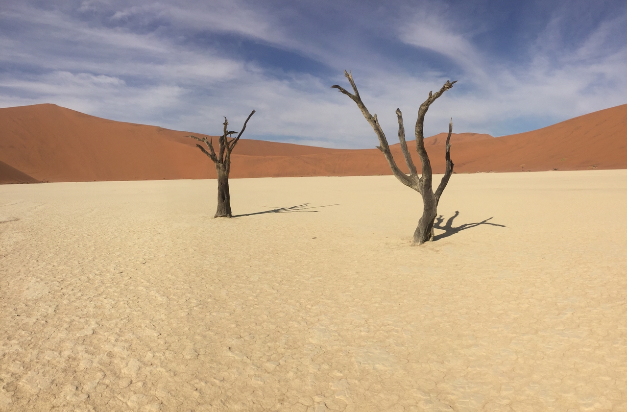 [16199] 2016_06_25_10_11_04_Africa_iPhone_6_IMG_8292_03189.jpg