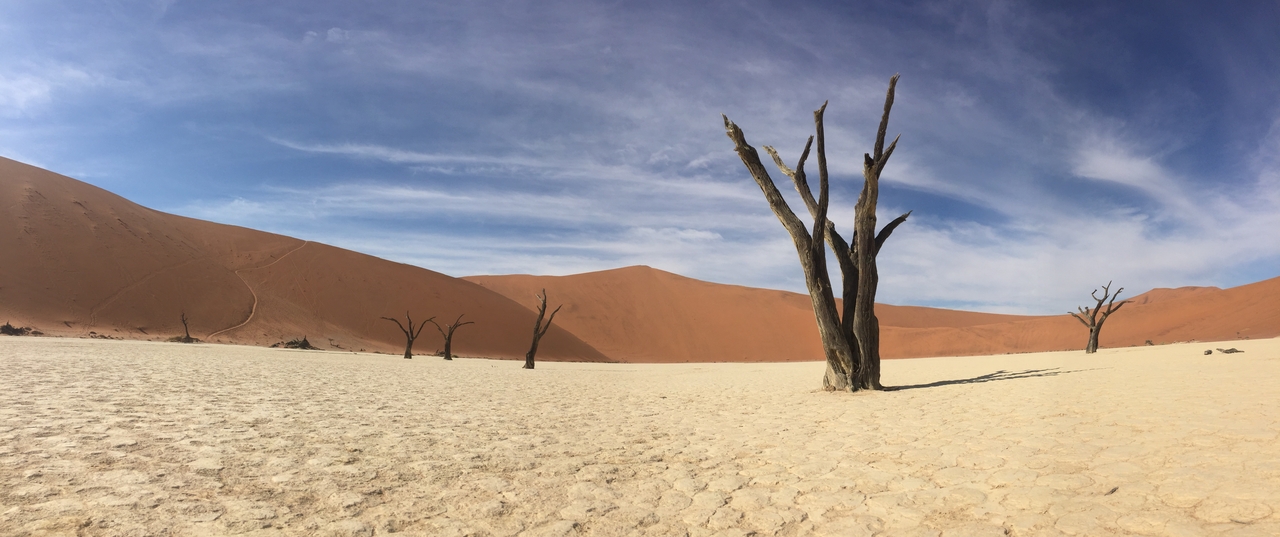 [16201] 2016_06_25_10_12_31_Africa_iPhone_6_IMG_8293_00849.jpg
