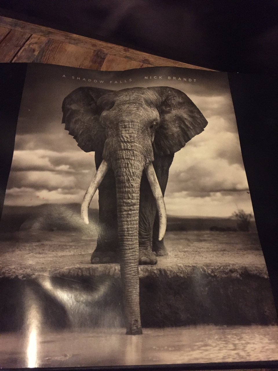[16705] 2016_06_26_20_57_54_Africa_iPhone_6_IMG_8400_00360.jpg