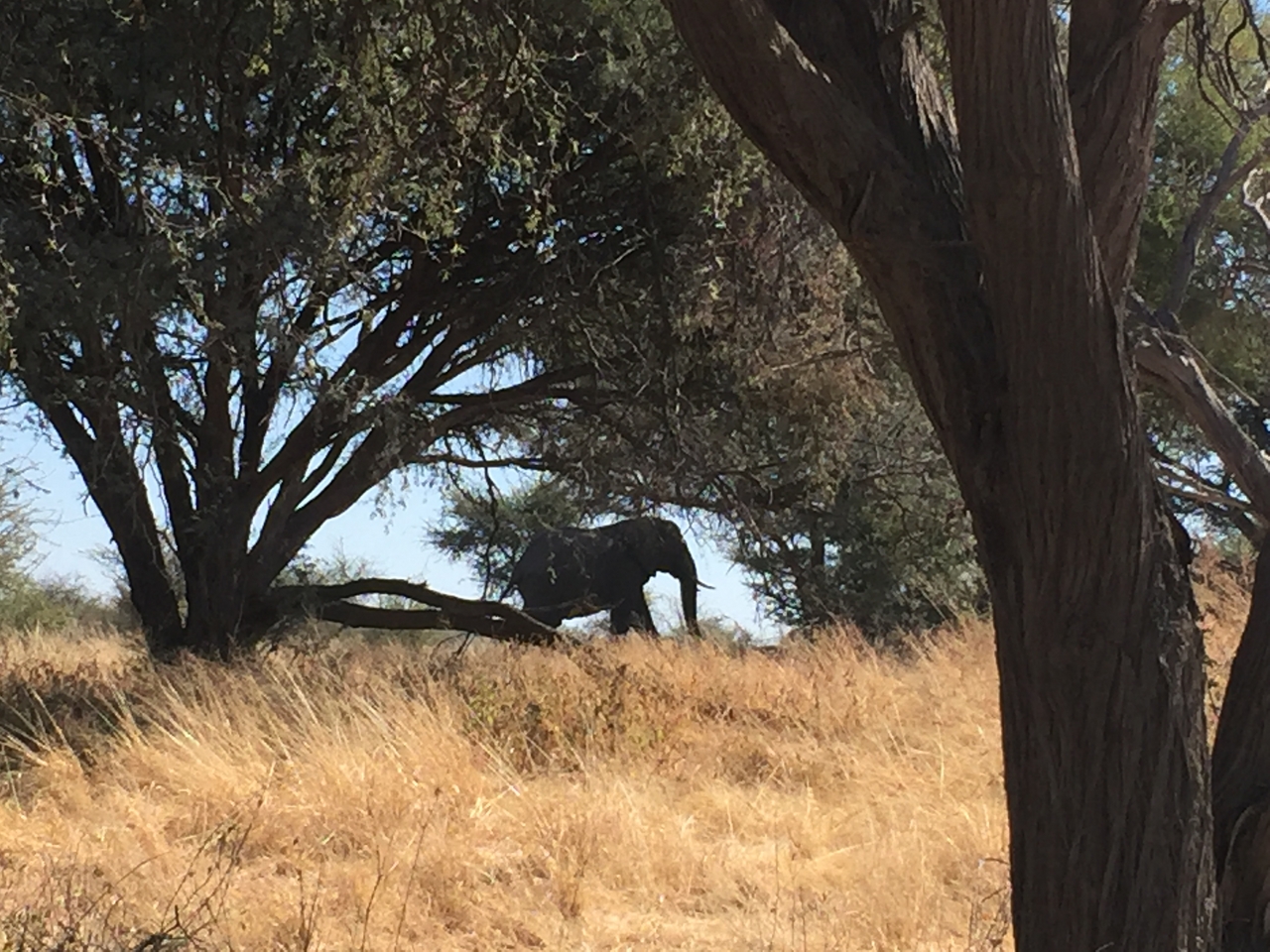 [17168] 2016_06_27_12_17_27_Africa_iPhone_6_IMG_8418_03299.jpg