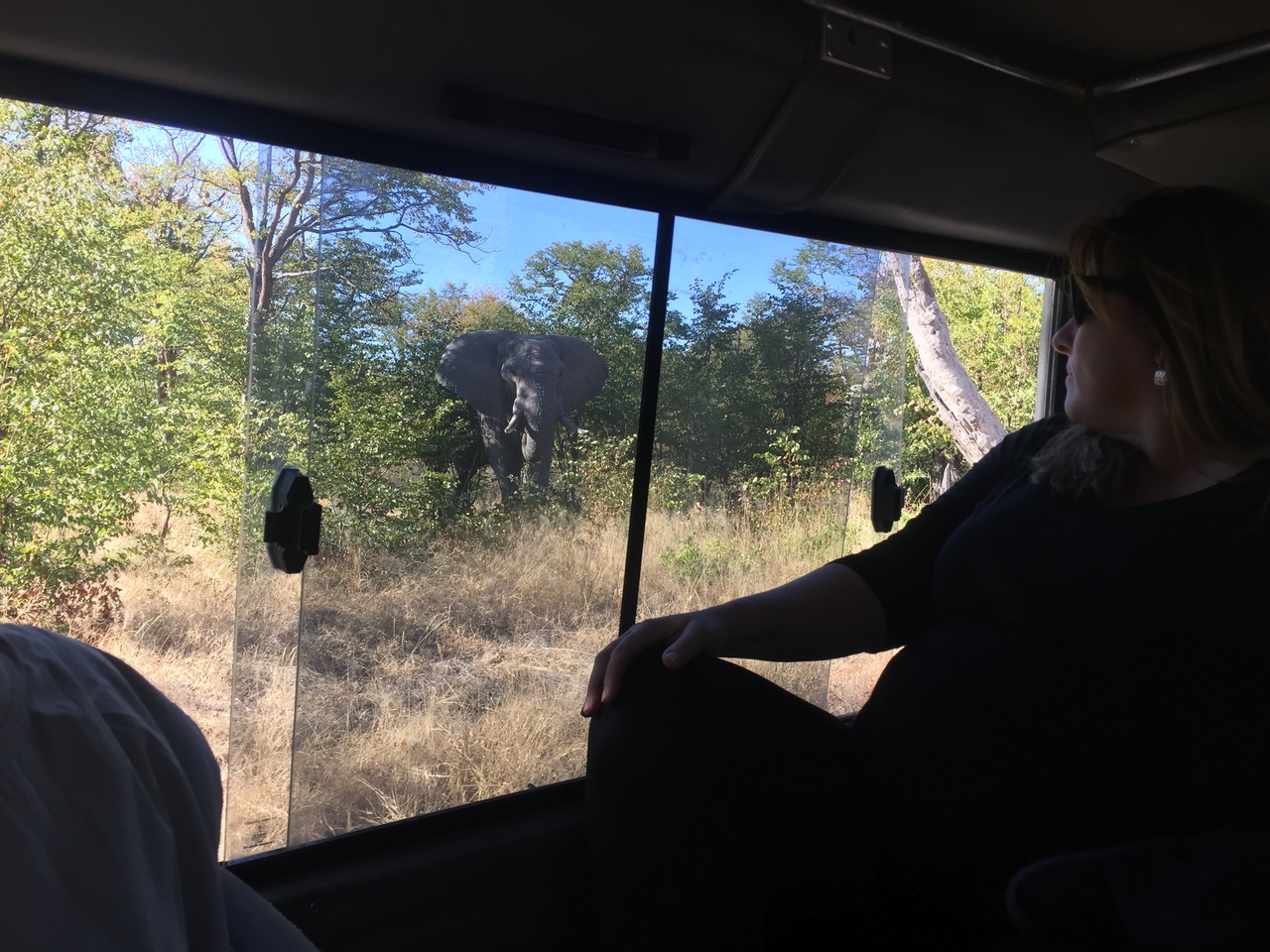 [17275] 2016_06_27_15_17_34_Africa_iPhone_6_IMG_8446_00986.jpg