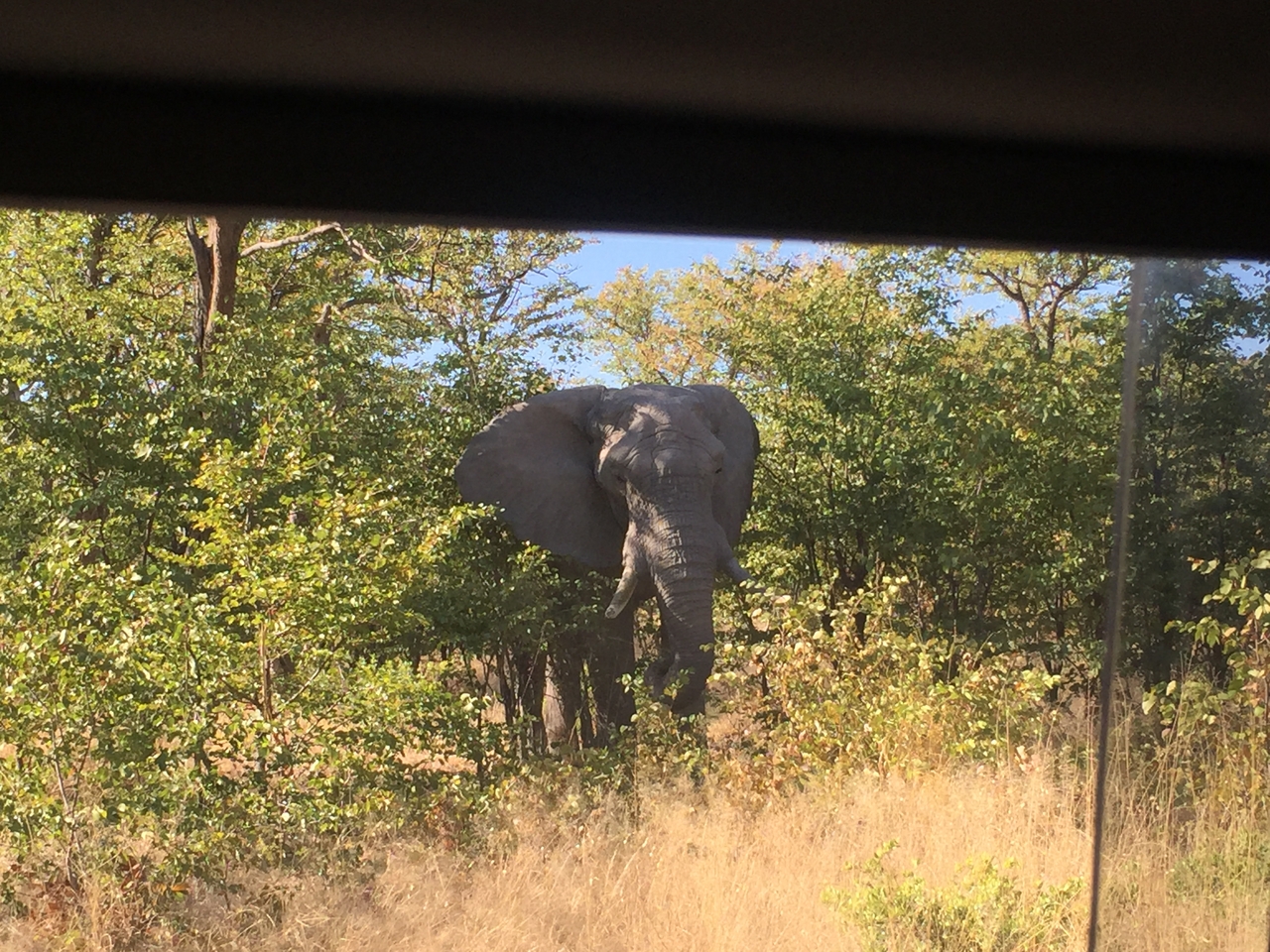 [17278] 2016_06_27_15_17_42_Africa_iPhone_6_IMG_8447_00987.jpg