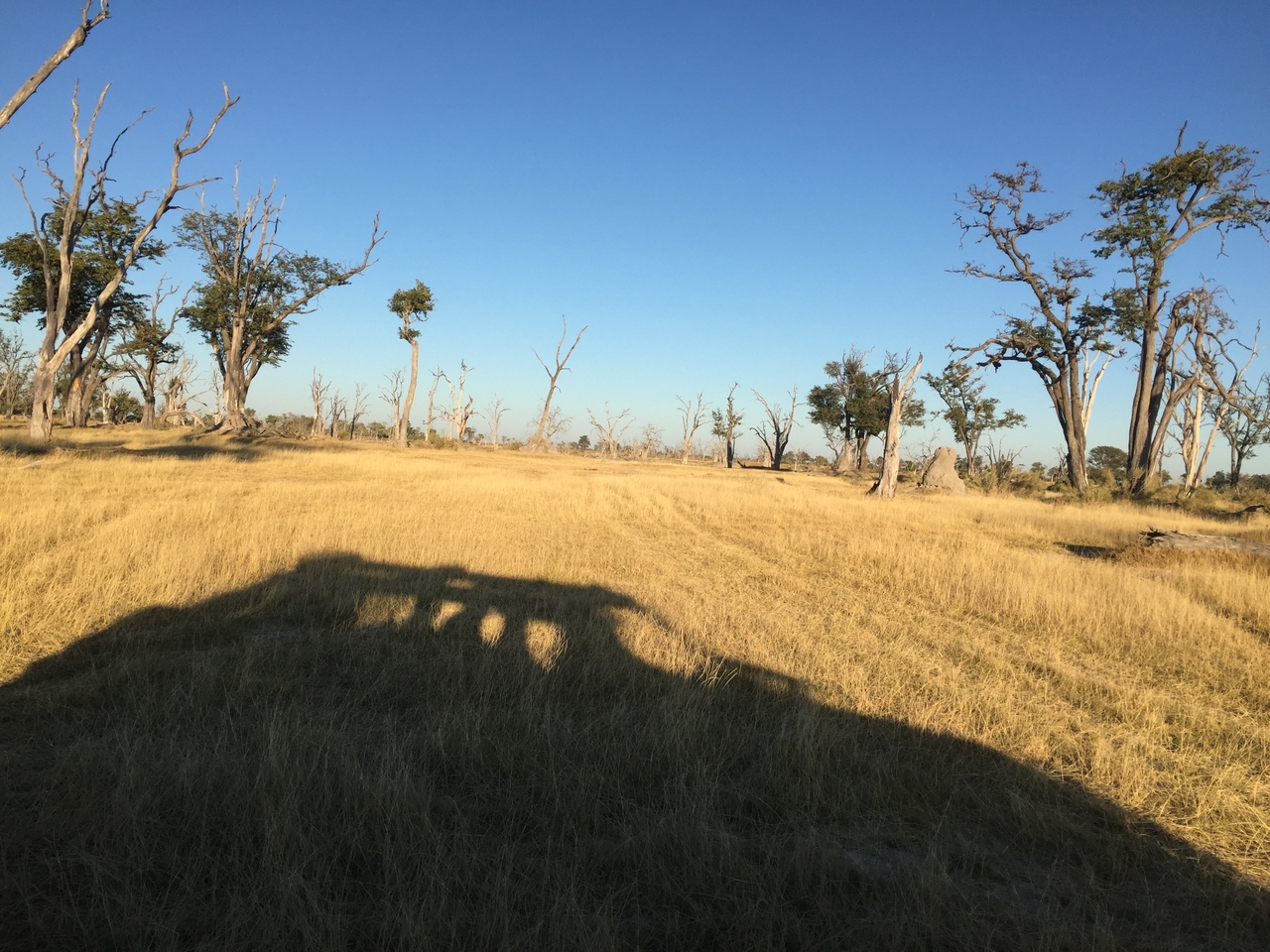 [19842] 2016_06_28_07_44_15_Africa_iPhone_6_IMG_8470_03351.jpg