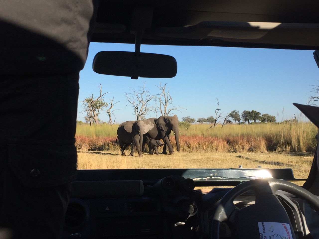 [19875] 2016_06_28_08_20_07_Africa_iPhone_6_IMG_8481_00439.jpg