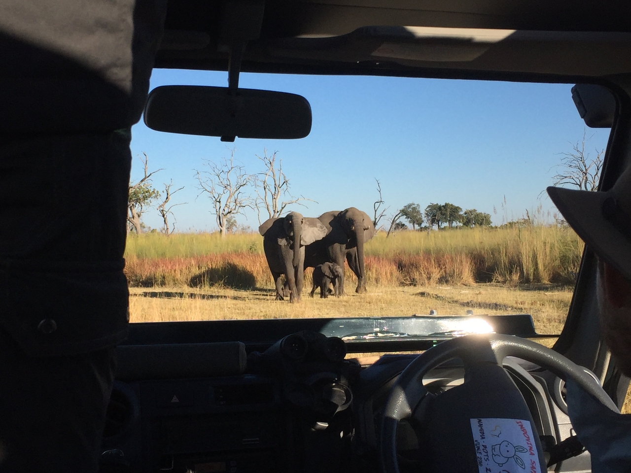 [19881] 2016_06_28_08_20_11_Africa_iPhone_6_IMG_8483_00441.jpg