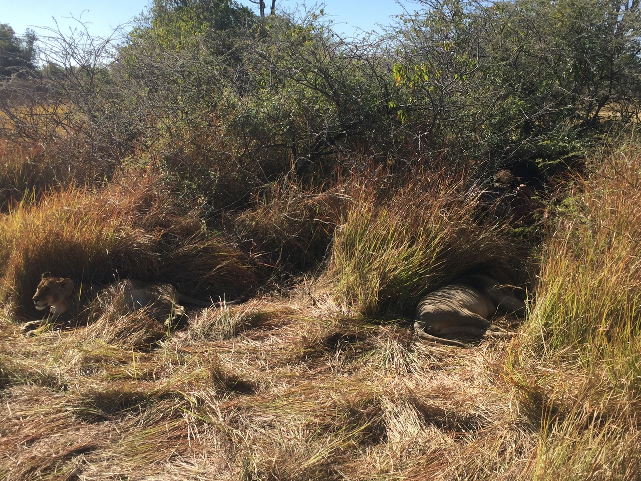 [19961] 2016_06_28_10_17_55_Africa_iPhone_6_IMG_8503_03384.jpg