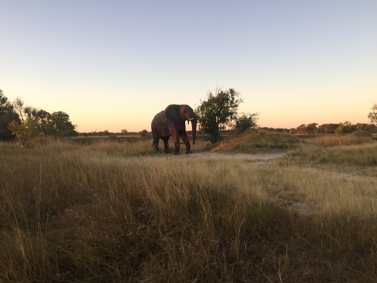 [20426] 2016_06_28_17_51_51_Africa_iPhone_6_IMG_8540_00489.jpg