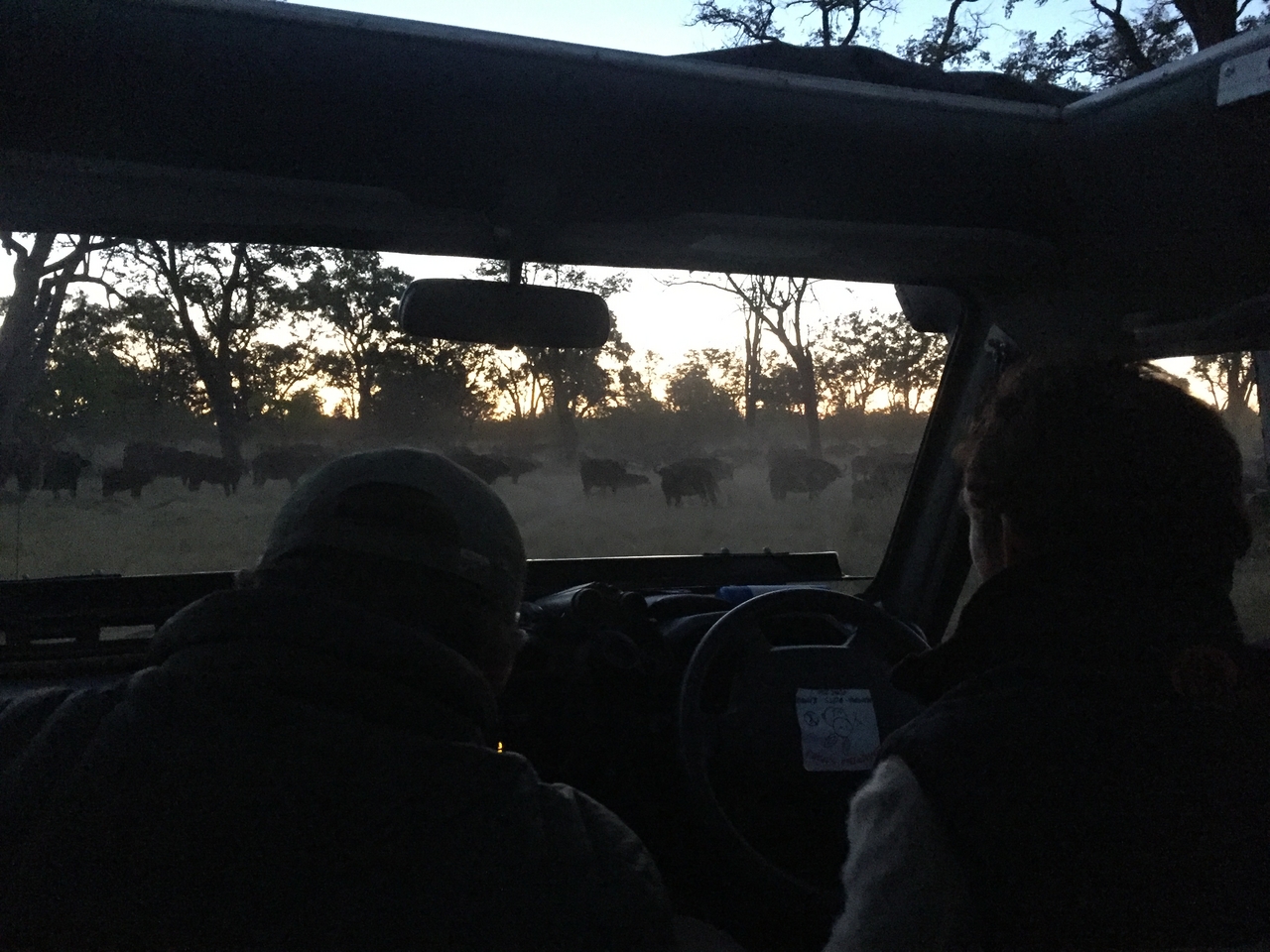[20463] 2016_06_28_18_24_35_Africa_iPhone_6_IMG_8549_01080.jpg