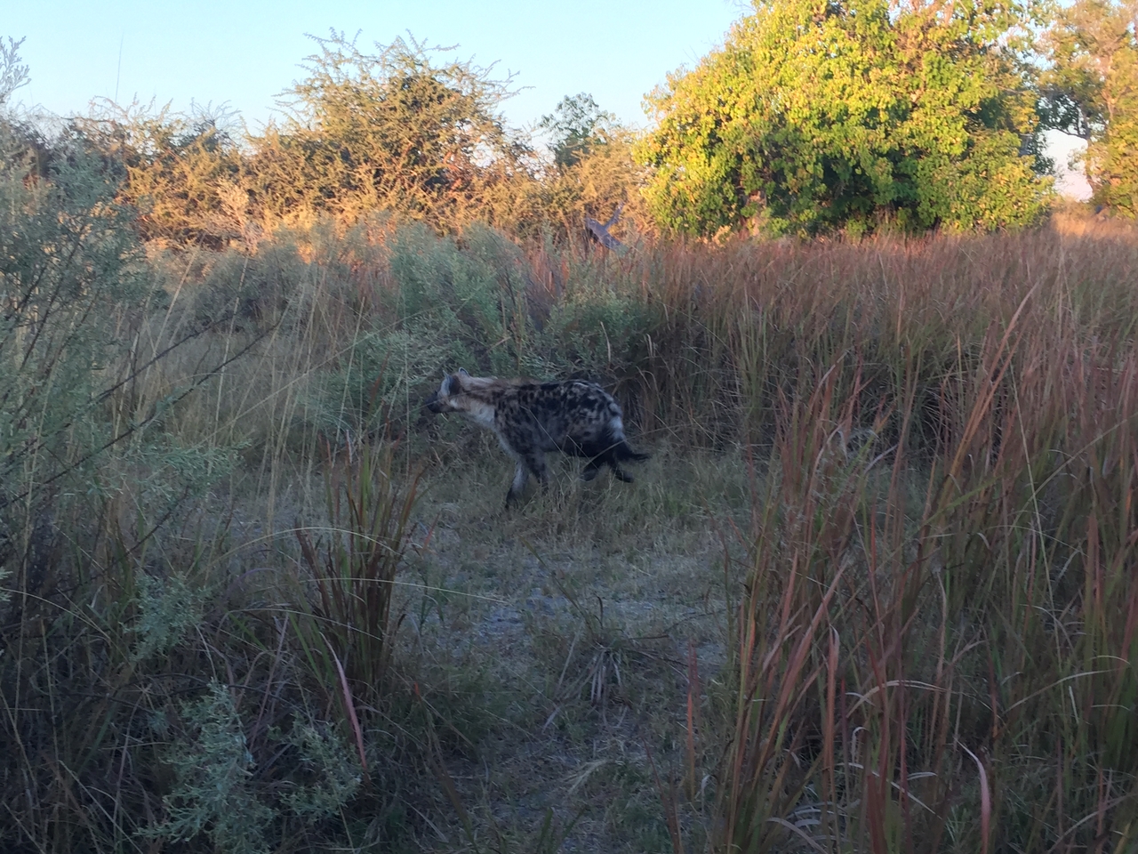 [22219] 2016_06_29_17_41_14_Africa_iPhone_6_IMG_8562_01090.jpg