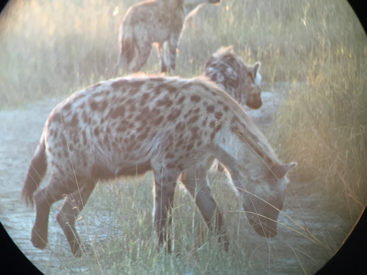 [22227] 2016_06_29_17_48_18_Africa_iPhone_6_IMG_8565_00511.jpg