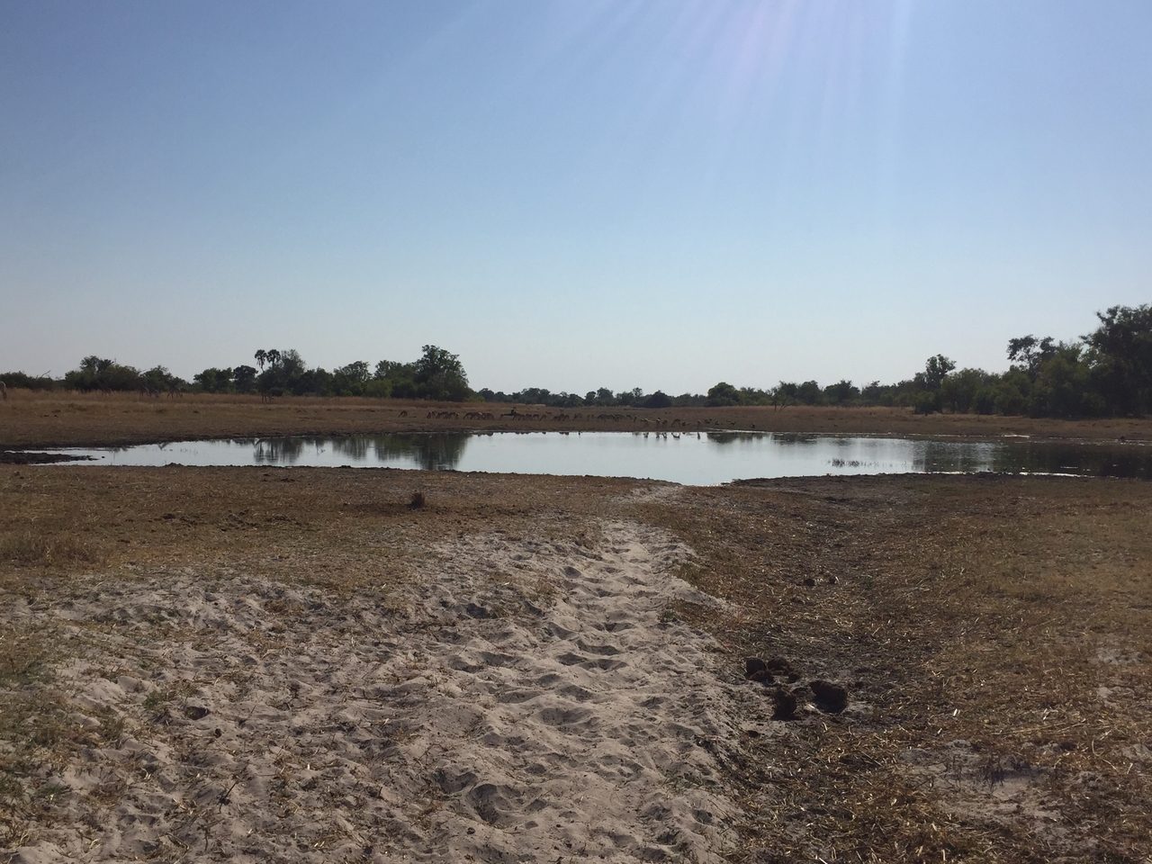 [25309] 2016_06_30_14_55_01_Africa_iPhone_6_IMG_8592_00534.jpg