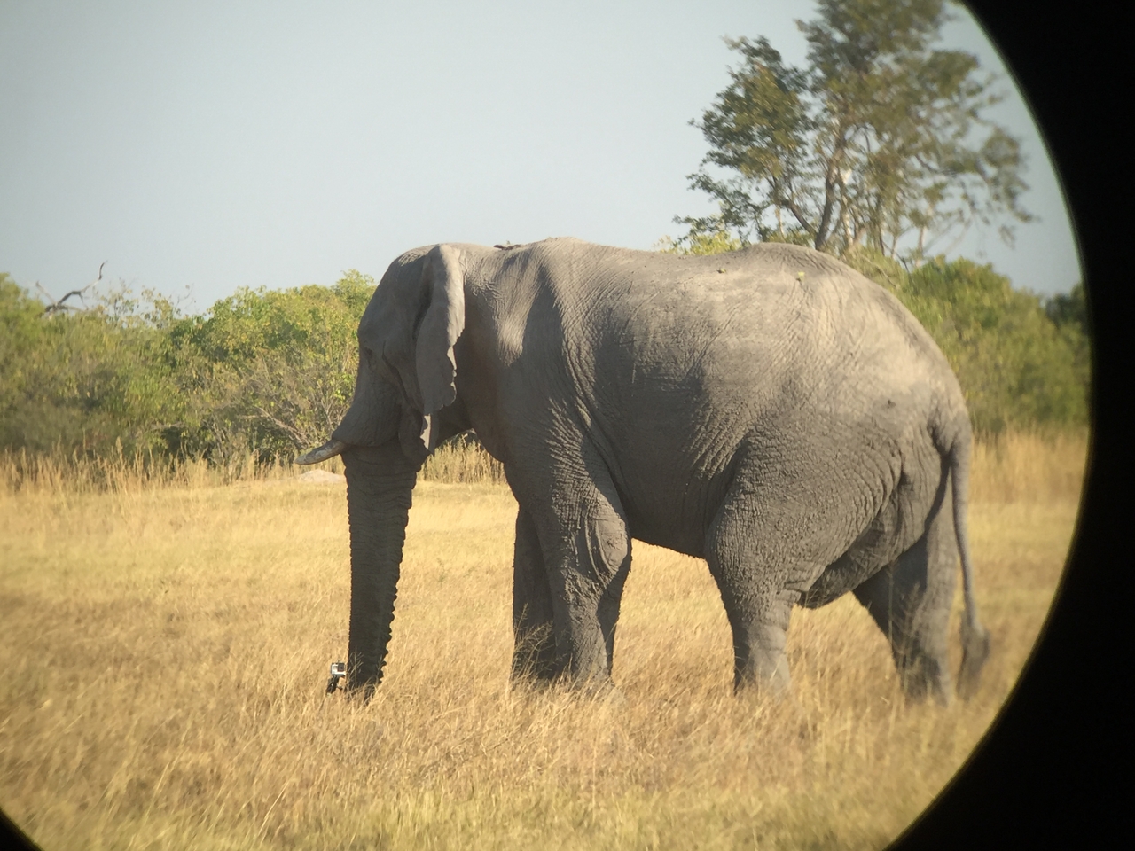 [26371] 2016_06_30_16_09_52_Africa_iPhone_6_IMG_8603_03467.jpg