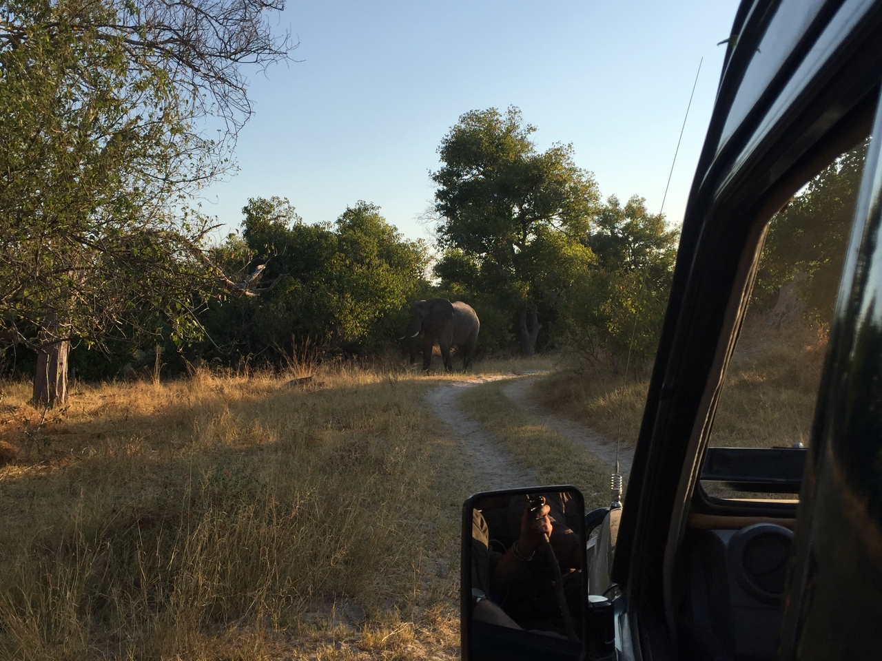 [26625] 2016_06_30_17_00_36_Africa_iPhone_6_IMG_8610_00550.jpg