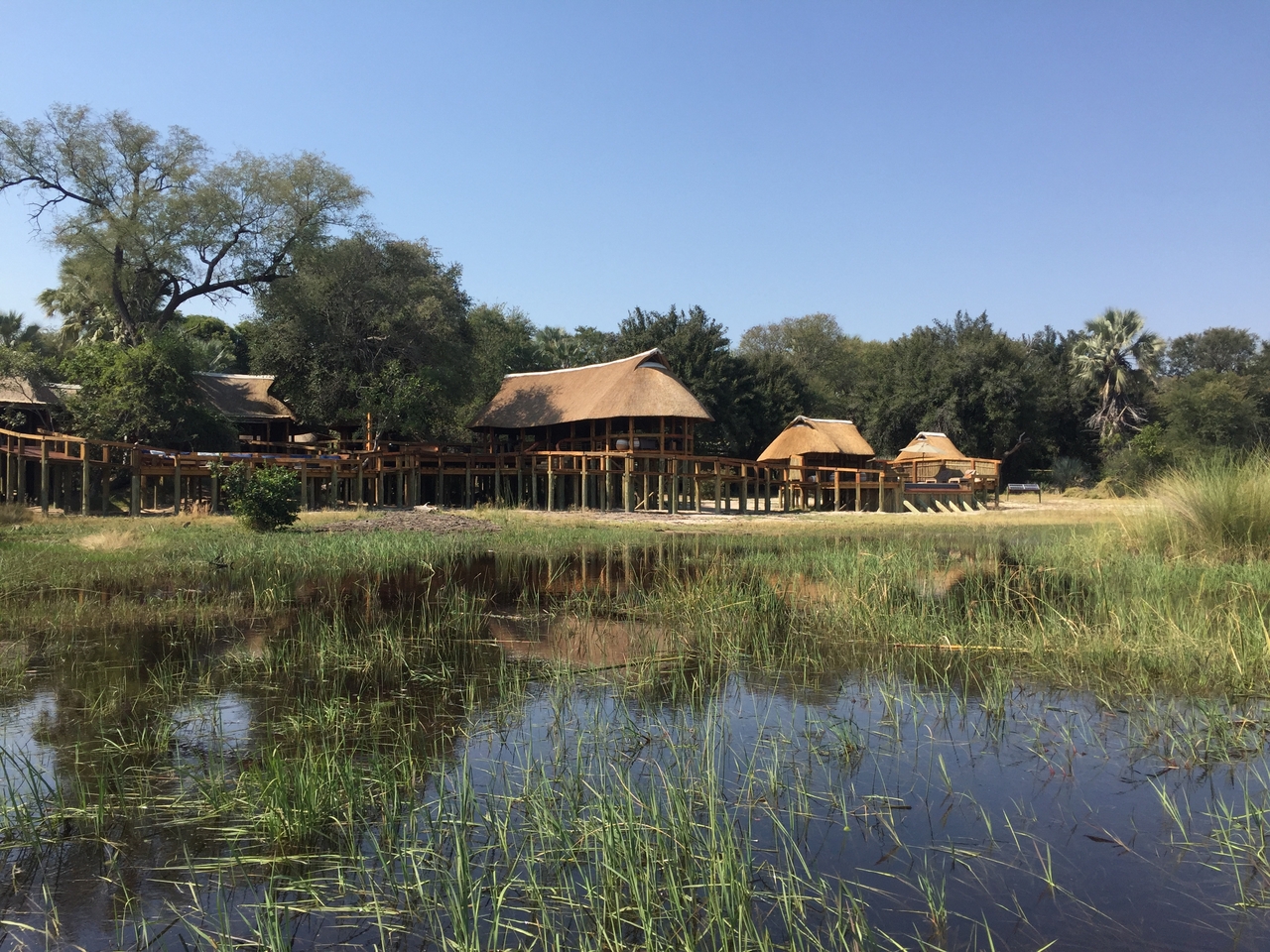 [27025] 2016_07_01_13_02_23_Africa_iPhone_6_IMG_8643_00578.jpg