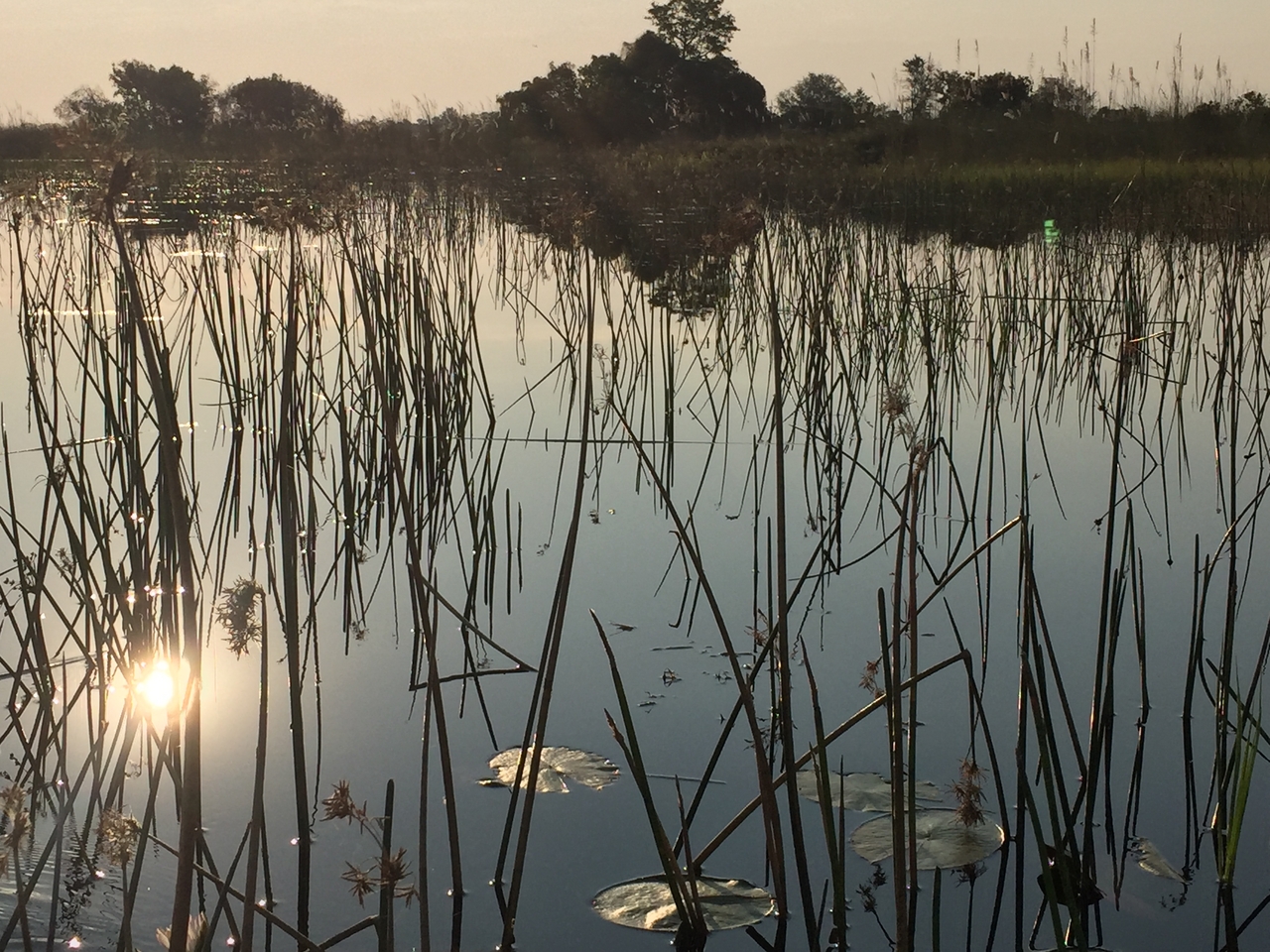 [27347] 2016_07_01_16_47_58_Africa_iPhone_6_IMG_8690_00623.jpg
