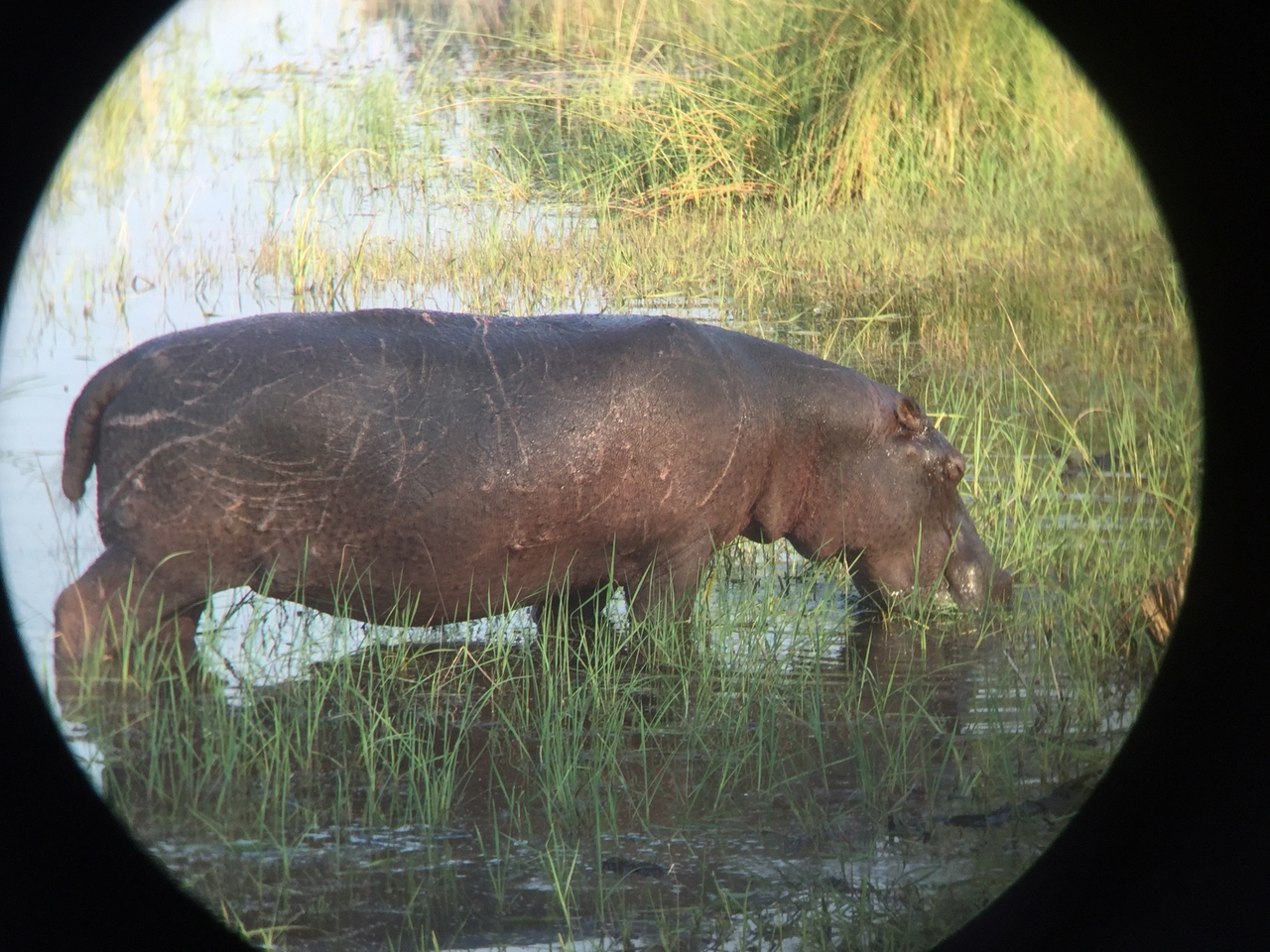 [27930] 2016_07_02_08_41_40_Africa_iPhone_6_IMG_8723_00647.jpg