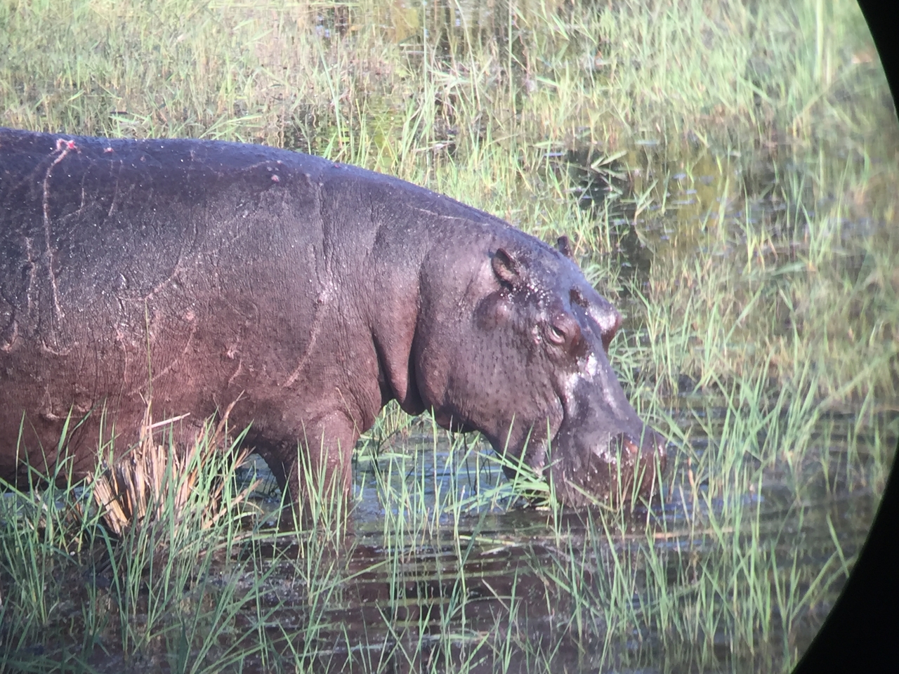 [27953] 2016_07_02_08_43_08_Africa_iPhone_6_IMG_8729_03576.jpg
