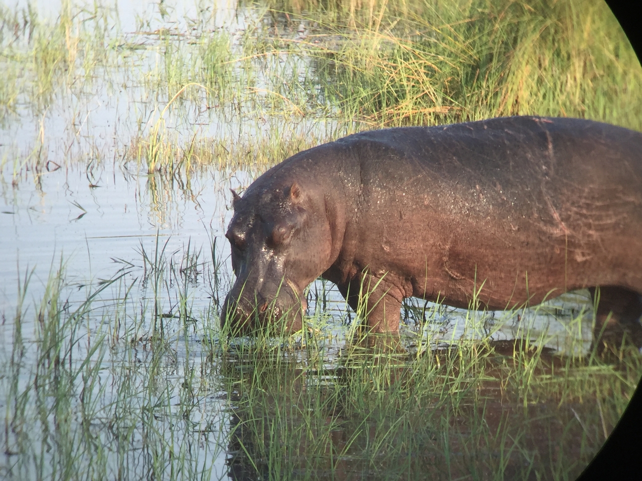 [27960] 2016_07_02_08_44_53_Africa_iPhone_6_IMG_8732_00656.jpg