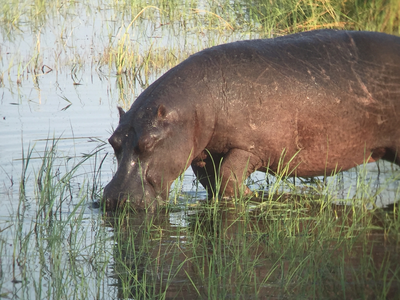 [27974] 2016_07_02_08_45_06_Africa_iPhone_6_IMG_8736_03583.jpg