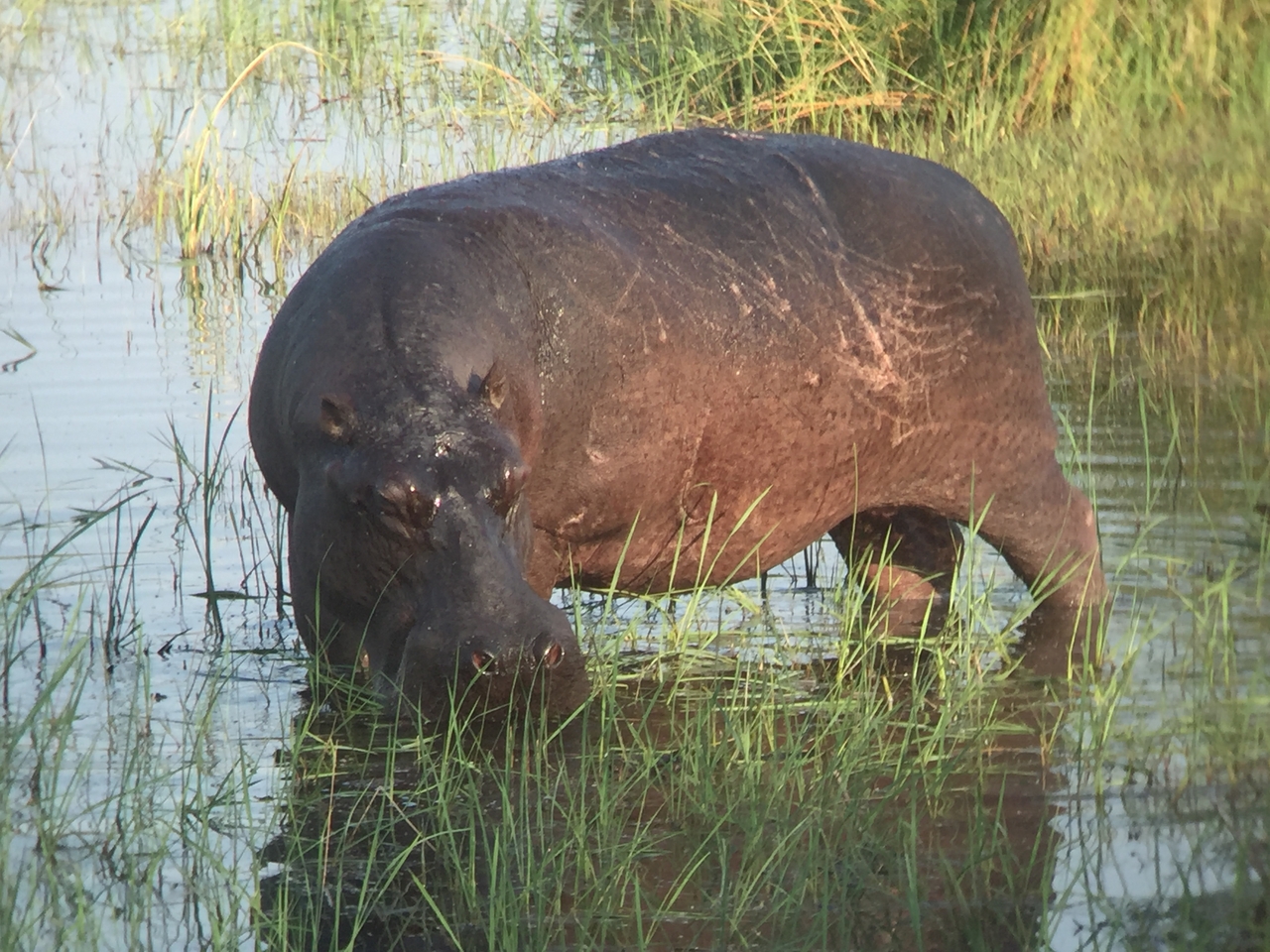 [27983] 2016_07_02_08_45_13_Africa_iPhone_6_IMG_8739_03586.jpg