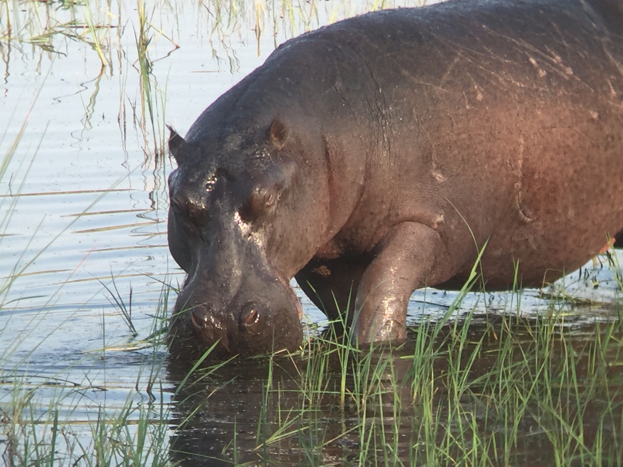 [27998] 2016_07_02_08_45_28_Africa_iPhone_6_IMG_8744_03591.jpg