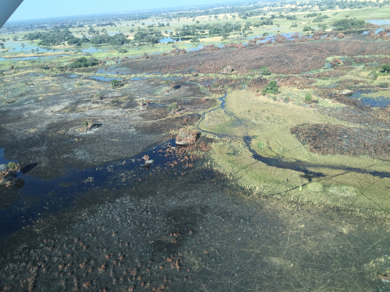 [28077] 2016_07_02_09_25_17_Africa_iPhone_6_IMG_8757_00681.jpg