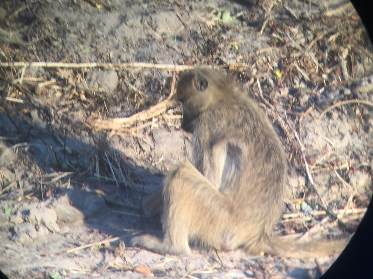 [34334] 2016_07_04_17_25_44_Africa_iPhone_6_IMG_9014_03800.jpg