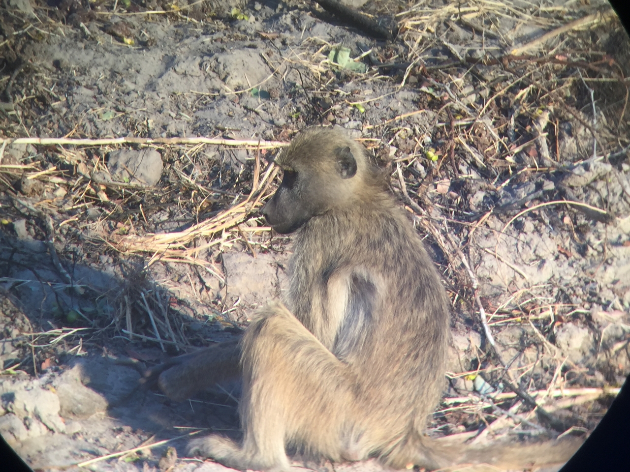 [34336] 2016_07_04_17_25_46_Africa_iPhone_6_IMG_9015_01460.jpg
