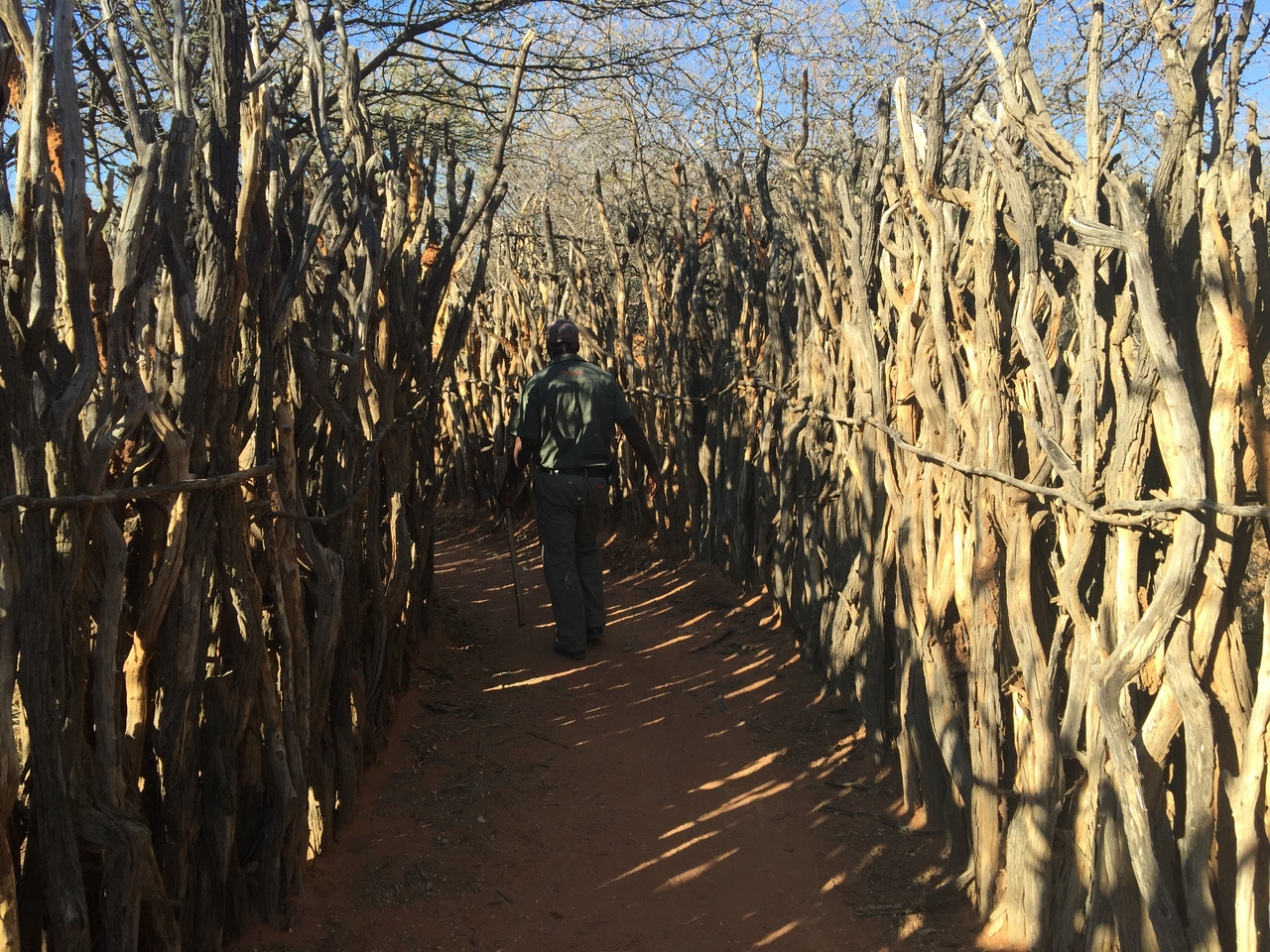 [9059] 2016_06_23_15_11_43_Africa_iPhone_6_Plus_IMG_3522_06765.jpg