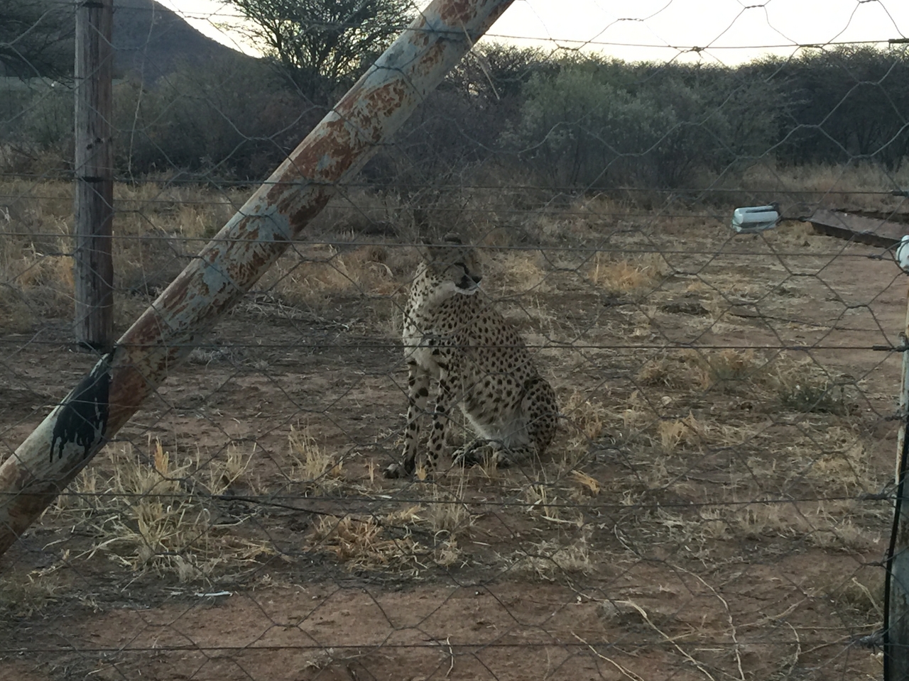 [9501] 2016_06_23_17_24_55_Africa_iPhone_6_Plus_IMG_3545_00190.jpg