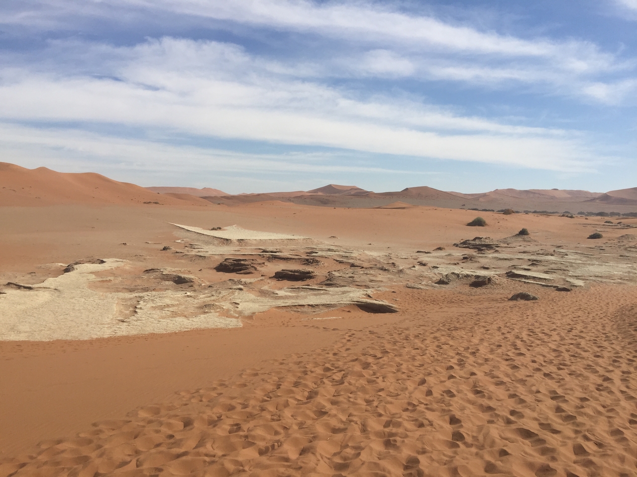 [16231] 2016_06_25_10_22_34_Africa_iPhone_6_Plus_IMG_3698_00306.jpg