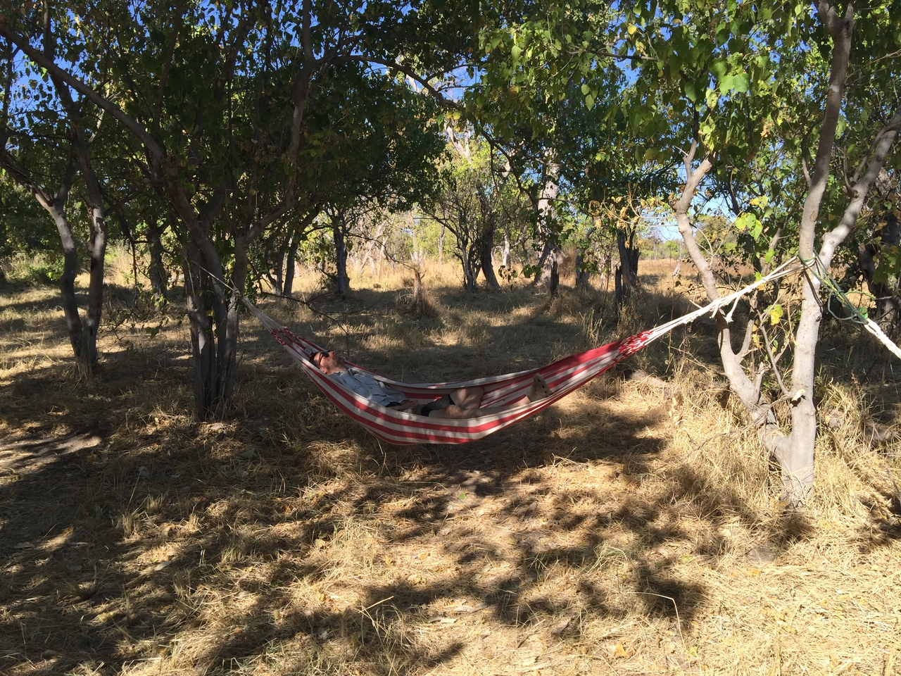 [20394] 2016_06_28_15_04_28_Africa_iPhone_6_Plus_IMG_3836_00393.jpg